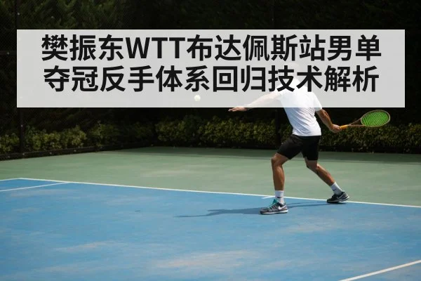 樊振东WTT布达佩斯站男单夺冠反手体系回归技术解析