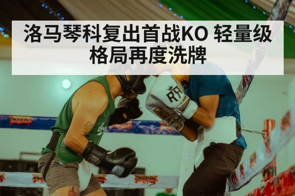 洛马琴科复出首战KO 轻量级格局再度洗牌